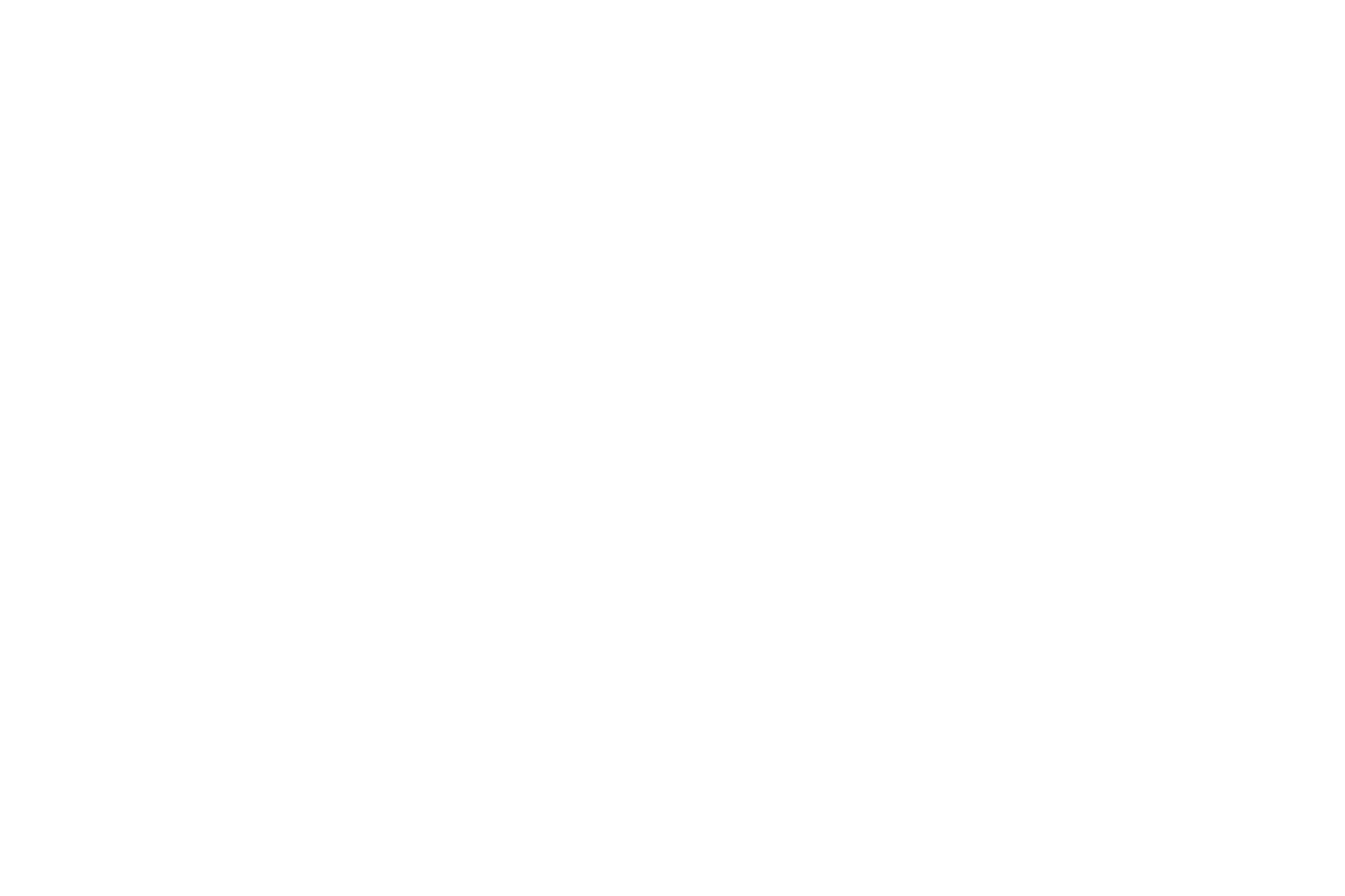 Lost Protocol